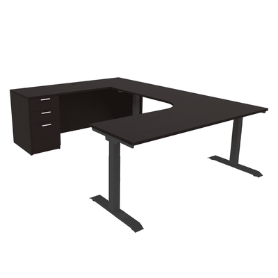 iRize Hybrid U-Shaped Standing Desk