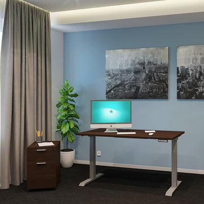 Standing Desk 24x60 Height Adjustable iRize | Dual Motor Ergonomic Workstation