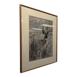 Gray Kudu Framed Print