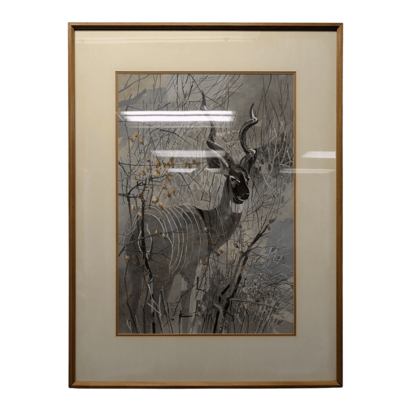 Gray Kudu Watercolor Framed Print