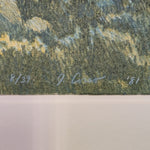 Southern California Hills #2 by Joseph Corso – Framed Print