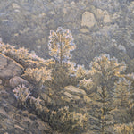 Southern California Hills #2 by Joseph Corso – Framed Print