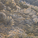 Southern California Hills #2 by Joseph Corso – Framed Print