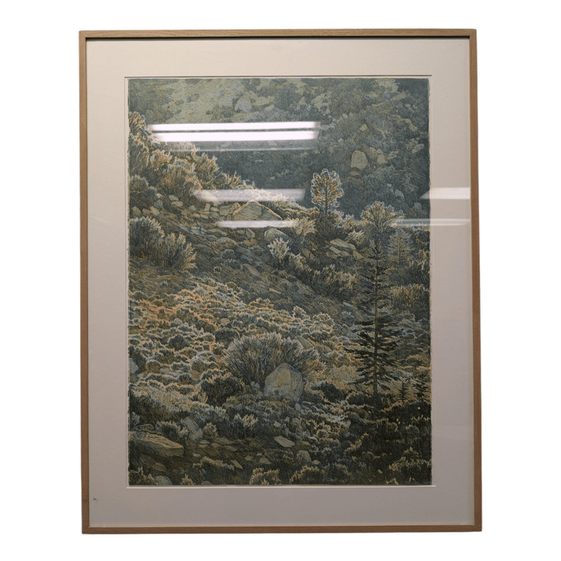 framed print - muted greens, California Hills