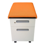 Steelcase Box/File Mobile Pedestal
