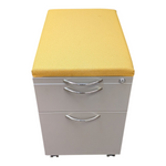 AIS Box/File Mobile Pedestal