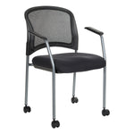 Titanium Finish Visitors Chair