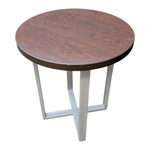 ERG International Dion 20in End Table