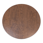 ERG International Dion 20in End Table