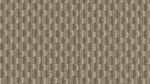 SURFACE & EDGE
