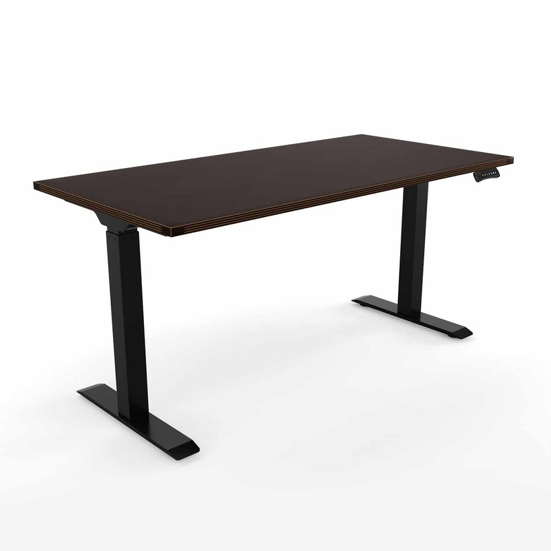 Standing Desk 24x72 Height Adjustable iRize | Dual Motor Ergonomic Workstation