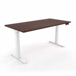 Standing Desk 24x48 Height Adjustable iRize | Compact Dual Motor Sit Stand Workstation