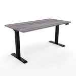 Standing Desk 24x72 Height Adjustable iRize | Dual Motor Ergonomic Workstation