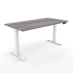 Standing Desk 24x48 Height Adjustable iRize | Compact Dual Motor Sit Stand Workstation