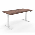 Standing Desk 24x48 Height Adjustable iRize | Compact Dual Motor Sit Stand Workstation