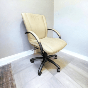 Used 9 to 5 Cayman Leather Mid-Back Conference Chair