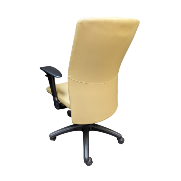 Compel pinnacle dune leather chair